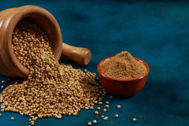 تصویر 2 از خرید و قیمت تخم گشنیز تازه + فروش عمده